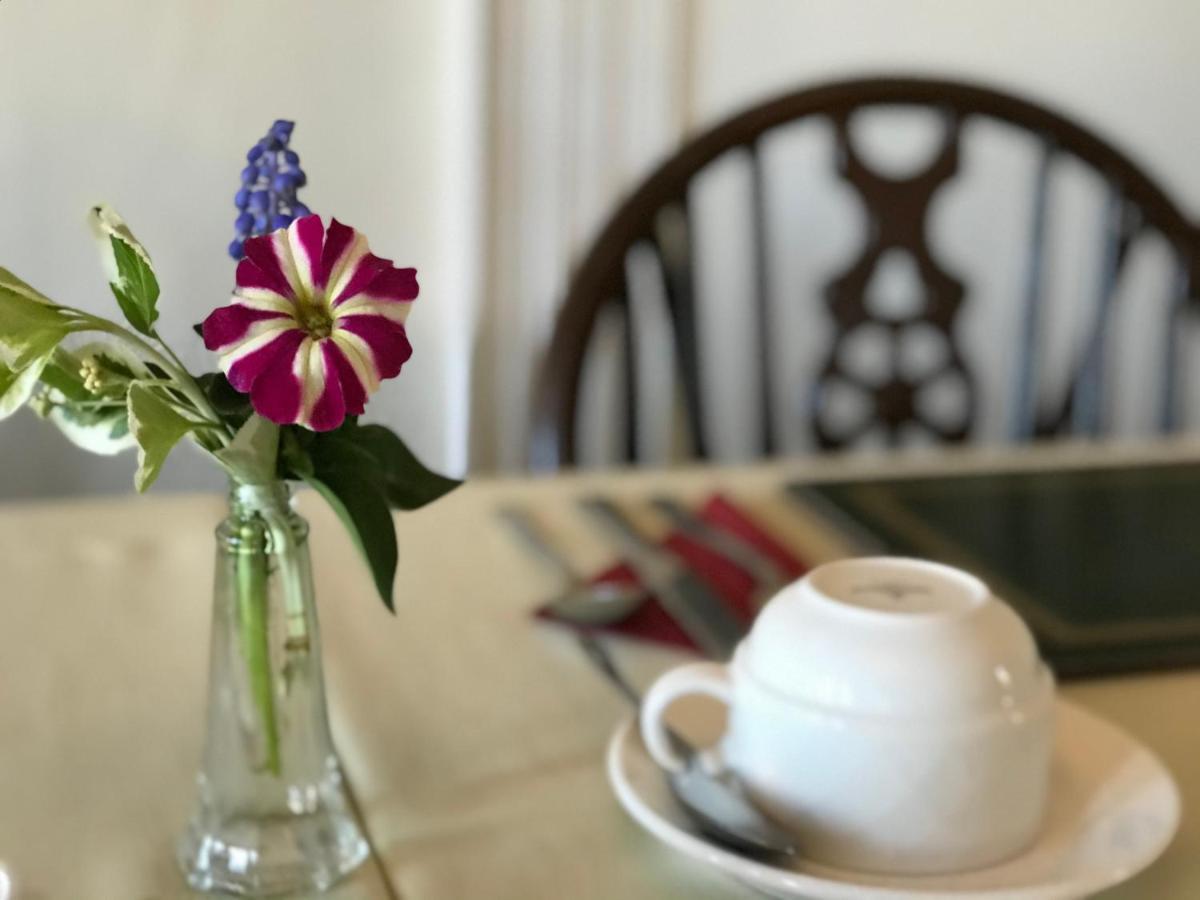 Princetown Guesthouse Бангор Экстерьер фото